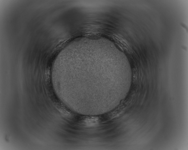 X0000092050369200710101020