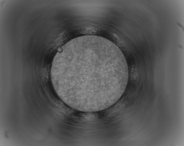 X0000092050370200710101020