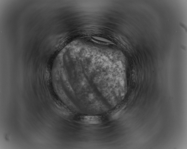 X0000092050371200710101020