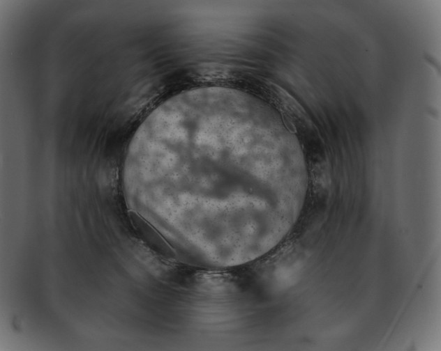 X0000092050372200710101020