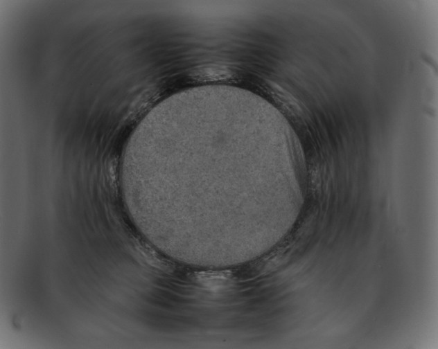 X0000092050373200710101020