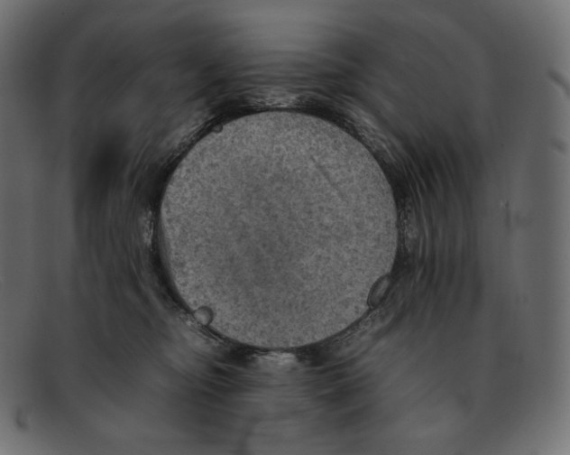 X0000092050374200710101020