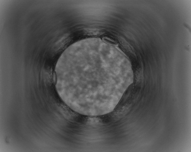 X0000092050376200710101020