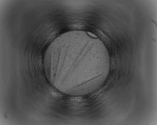 X0000092050377200710101020