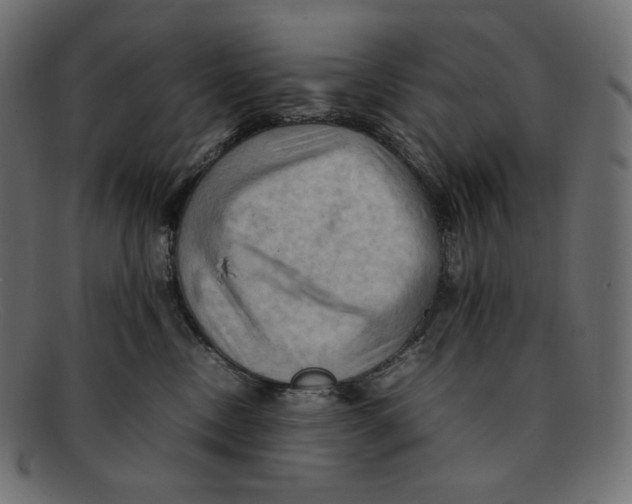 X0000092050378200710101020