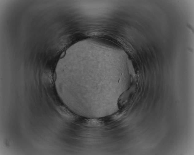 X0000092050380200710101020