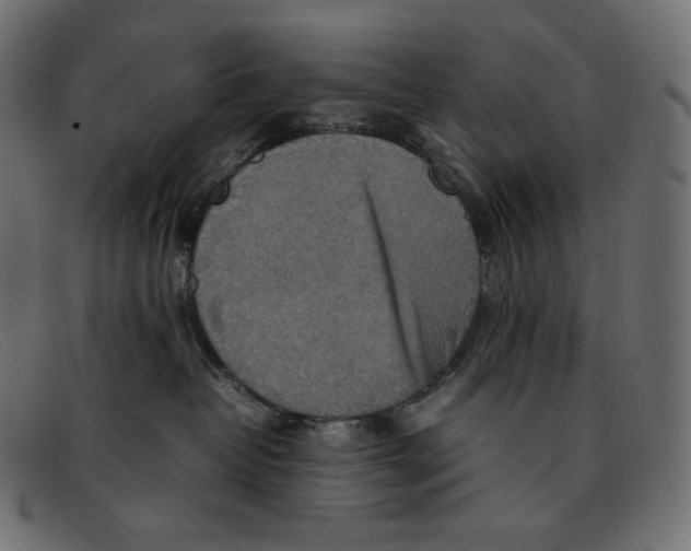 X0000092050382200710101020