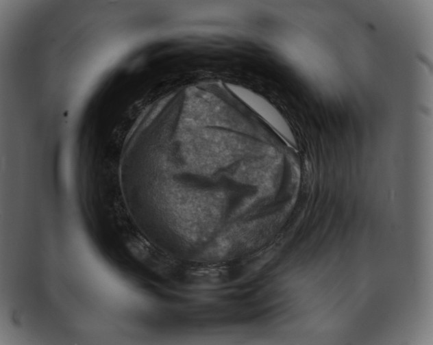 X0000092050383200710101020