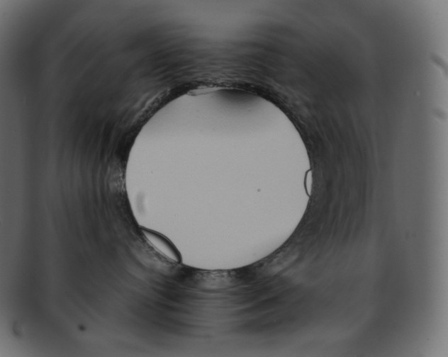 X0000092050384200710101020