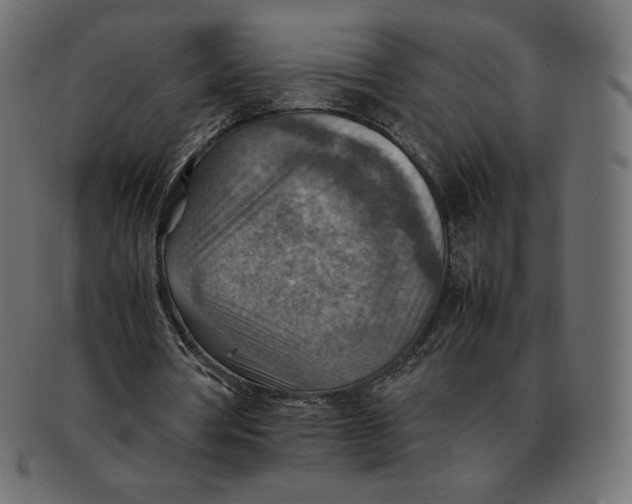 X0000092050386200710101019