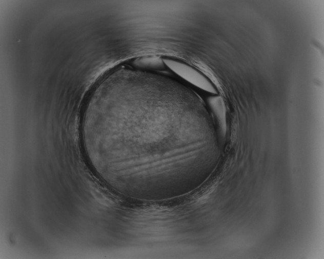 X0000092050387200710101019