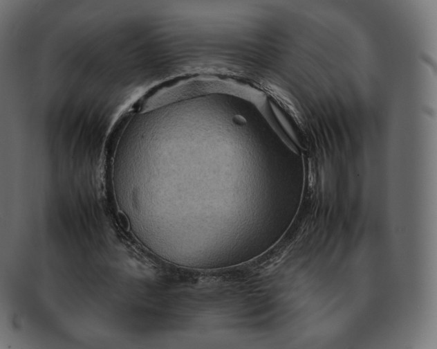 X0000092050388200710101019