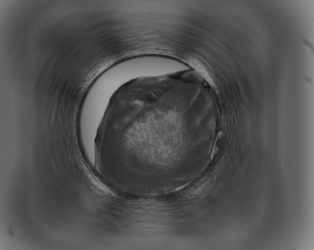 X0000092050389200710101019