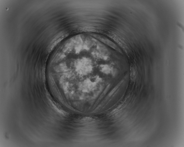 X0000092050390200710101019