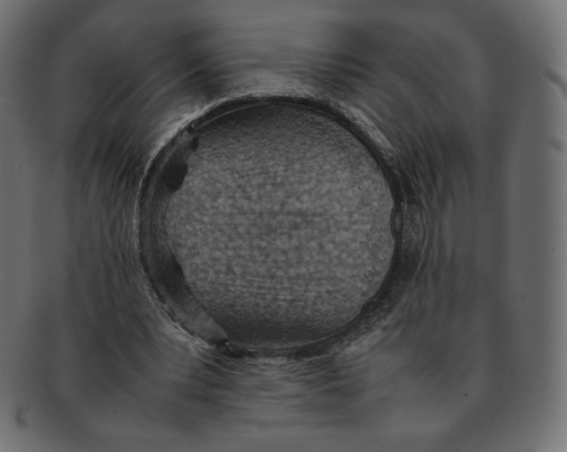 X0000092050391200710101019