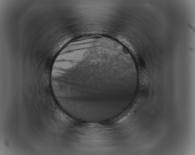 X0000092050393200710101019