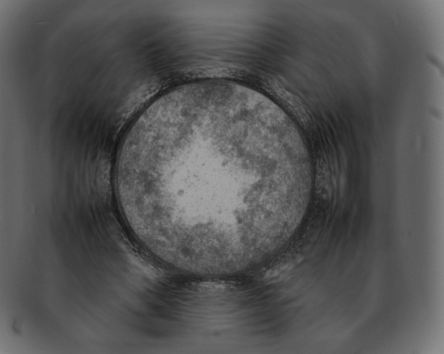 X0000092050394200710101019