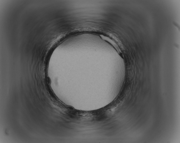 X0000092050395200710101019