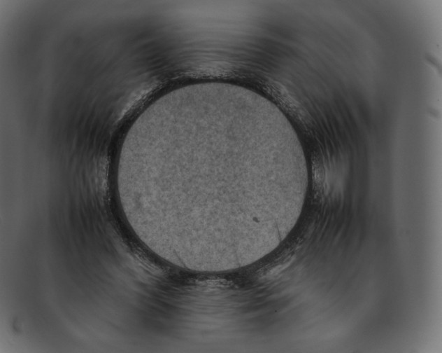 X0000092050396200710101019