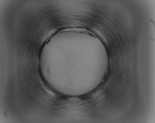 X0000092050397200710101019