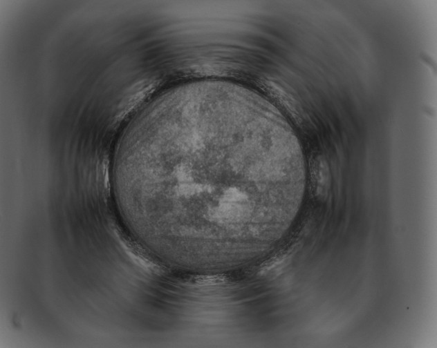 X0000092050398200710101019