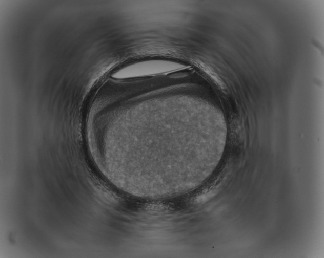 X0000092050399200710101019