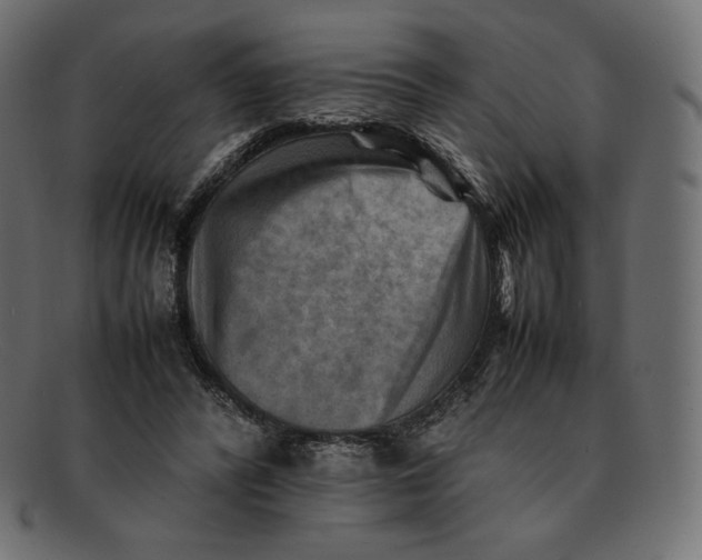 X0000092050400200710101019