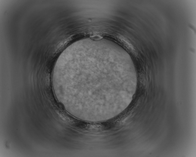 X0000092050401200710101019