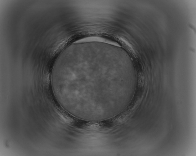 X0000092050405200710101019