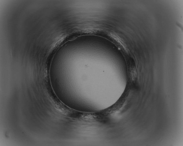 X0000092050407200710101019