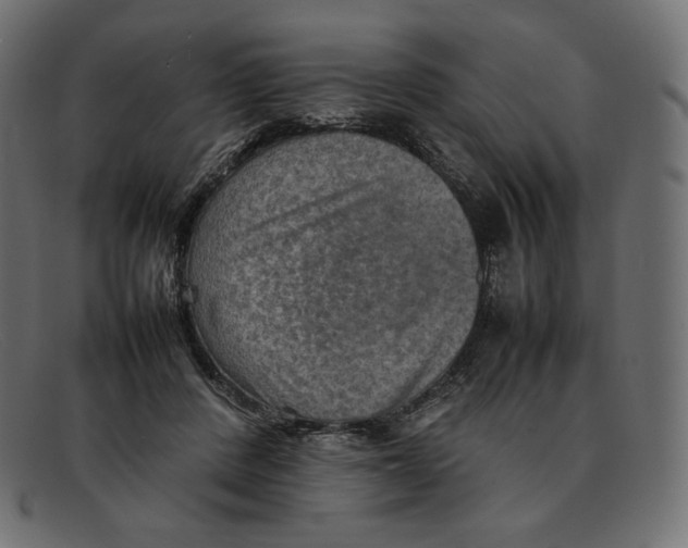 X0000092050408200710101019