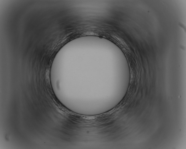 X0000092050409200710101019