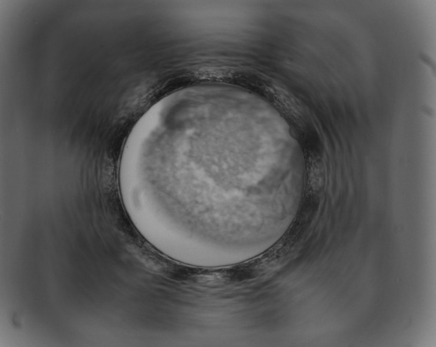 X0000092050411200710101019