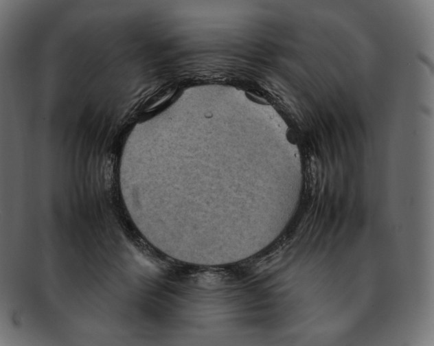 X0000092050412200710101019