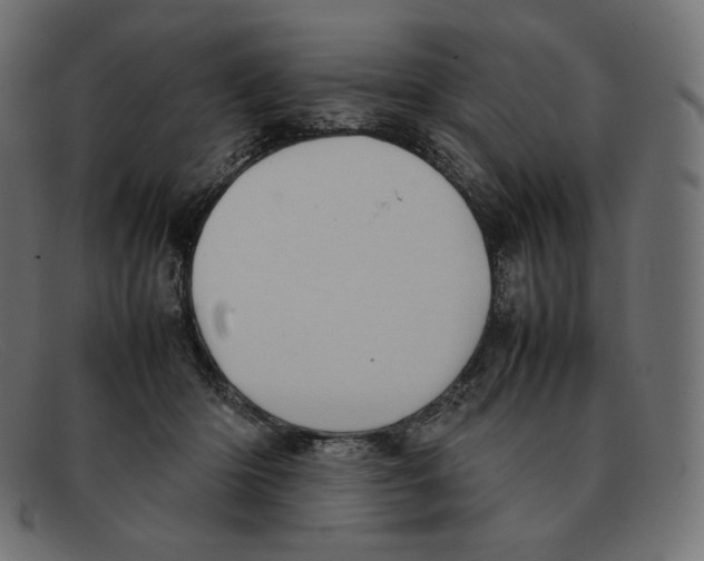 X0000092050414200710101019