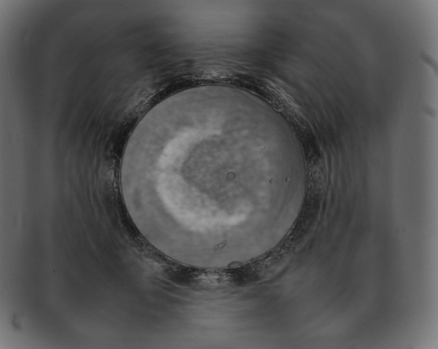 X0000092050415200710101019