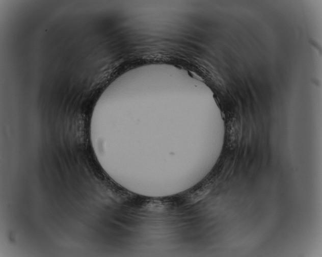 X0000092050416200710101019