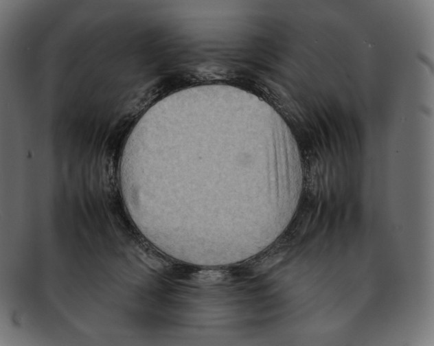 X0000092050418200710101019