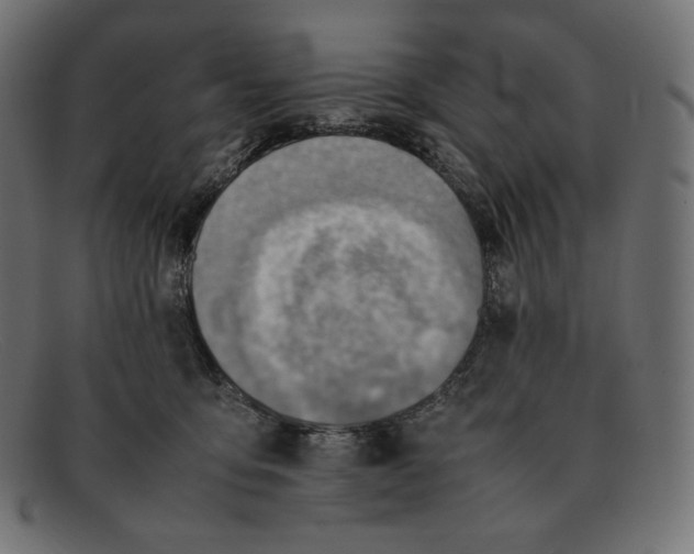 X0000092050419200710101019