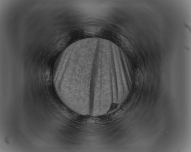 X0000092050420200710101019