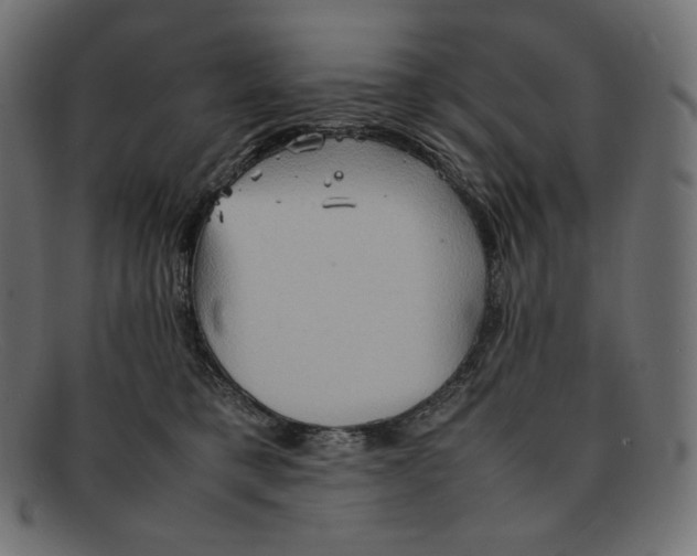 X0000092050421200710101019