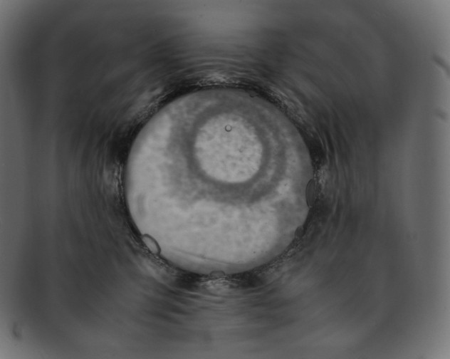 X0000092050423200710101019