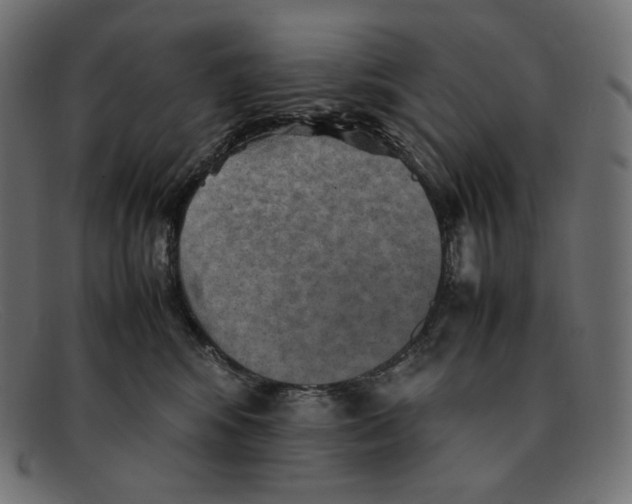 X0000092050424200710101019