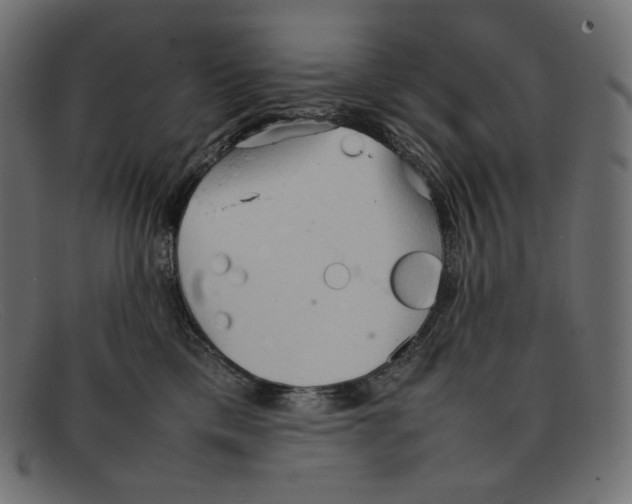 X0000092050425200710101019