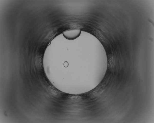 X0000092050426200710101019