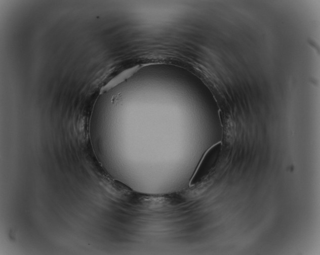 X0000092050428200710101019