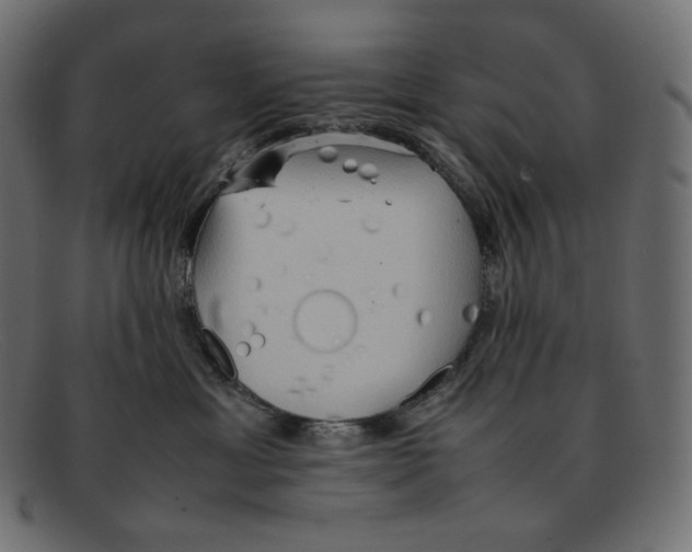 X0000092050429200710101019