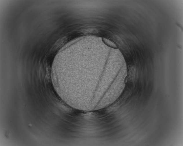 X0000092050430200710101019