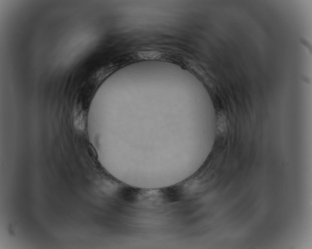 X0000092050431200710101019