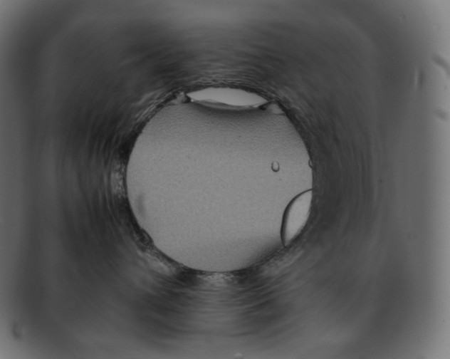 X0000092050432200710101019